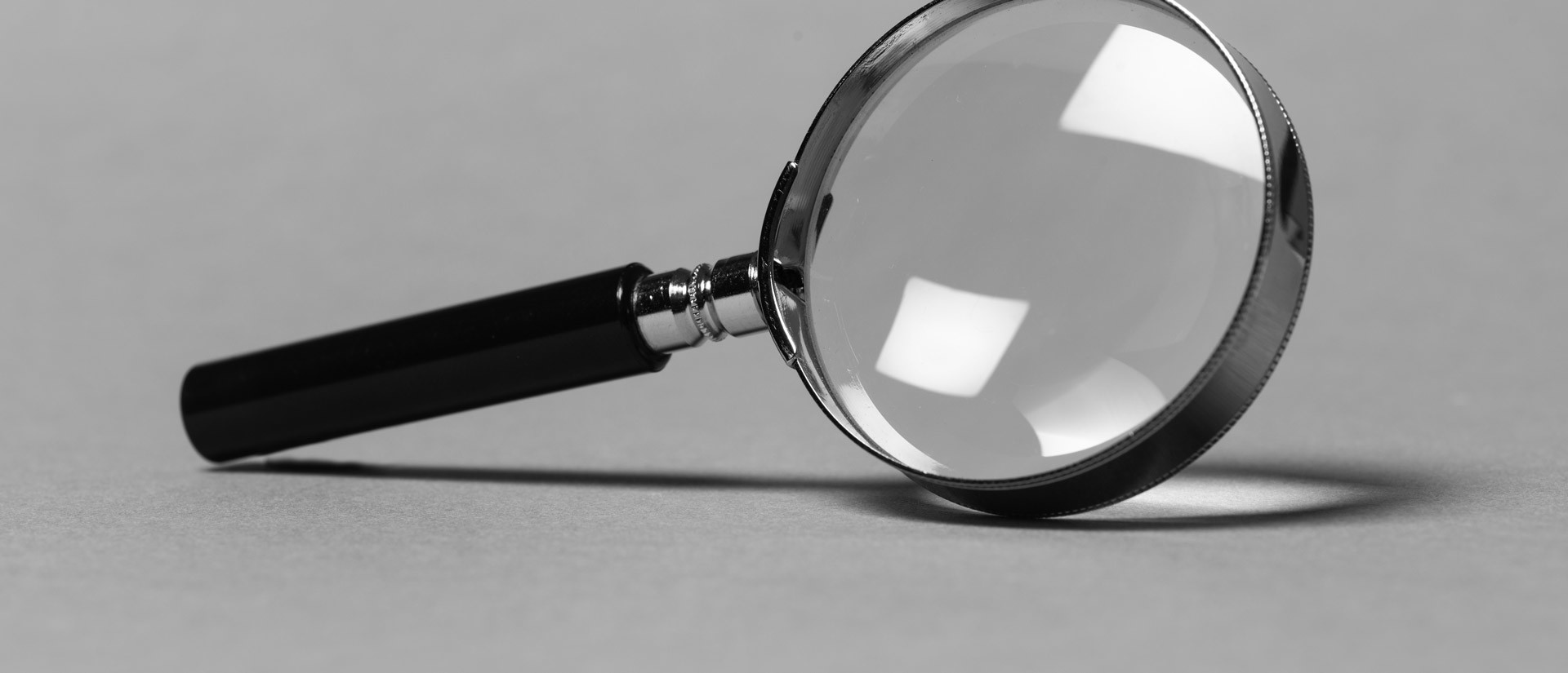 Internal Investigations